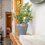Kurtuba 公寓 科爾多瓦